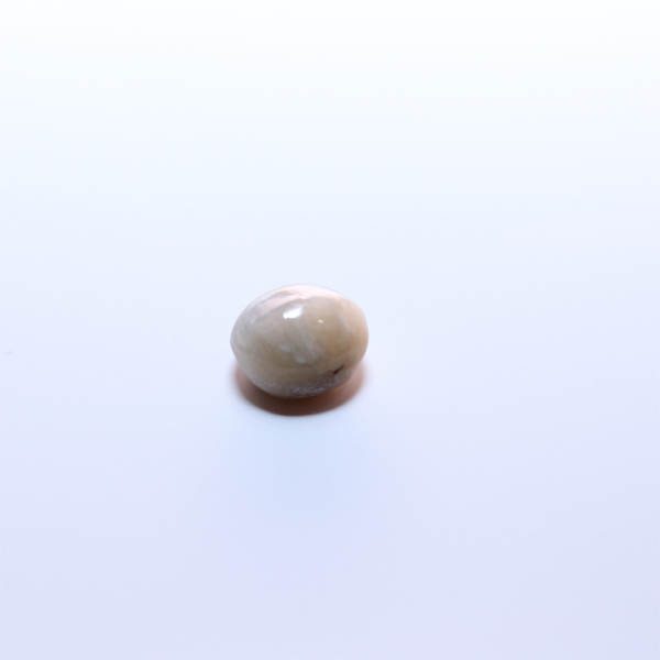 Energized Ceylon Mines Cat’s Eye Lehsunia – 6.40 Ratti.